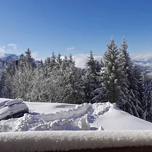 Appartement T2 Edelweiss 1750 Acces Piste Direct Local Alpes Montagne